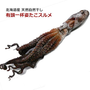 VRyX Ltp-500gO zu݁vkCỸ~Y_RA{̐[킢y߂܂B^RXABYґȈiłB