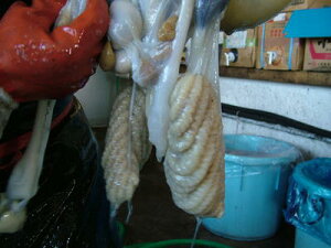  ^R ~Y^Ryǂ ^R-1kg z   z CN ^R Ԍ ̓ ̓  Ε Mtg