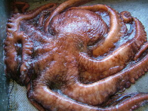 u^Rv @^R@~Y^R y 1t23kgOzu݁vYdグ TCY@Ԍ ̓ ̓  Ε Mtg