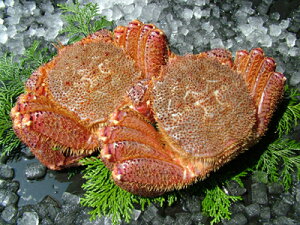 уKj@уJj@ъI@yъI@ 1480gO 2z y݁z@@т @傫uv kCY ɖX@hV̓@ ̓ @̓@ @ Ε Mtg