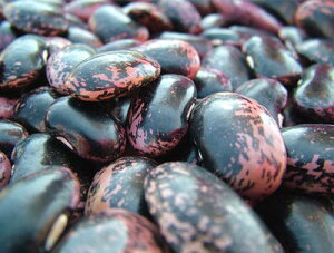 ԓ ϓ yÔ[ kCY500gz ^[pbNő