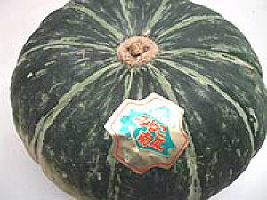 ڂ ݂₱ڂ y Z@12kgOz ~RJ{`@ Mtg
