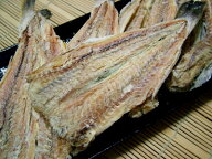 こまい コマイ 【開きこまい 1kg（中）】 【送料込み】開きコマイ 乾燥コマイ 氷下魚 カンカイ お花見 母…