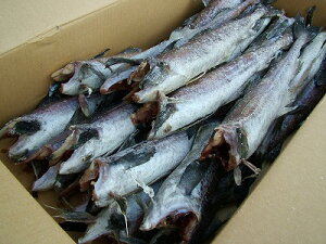 ^@  @Y@yXP_ _ 1{300gO50{15kgzuv  @ XP\E^