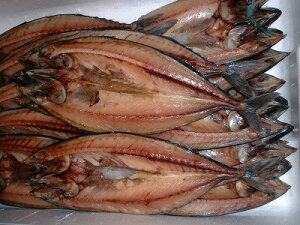 To J΁y ^I 400gO-5zu݁vԌ ̓ ̓  Ε Mtg