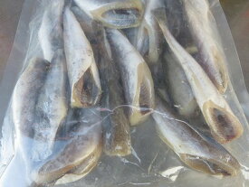 こまい コマイ 【 生干せこまい 1kg20本前後】 「送料込み」 氷下魚 カンカイ 一夜干し ソフトコマイ お花見 母の日 父の日 お中元 お歳暮 ギフト