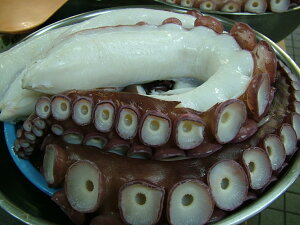 u^Rv@ @~Y^R y 甍 2`3{3kgOzu݁vuXv@^Rdグ  hg  Ԍ ̓ ̓  Ε Mtg