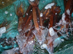 @ CJ@ XCJ yCJ@ 300gO 5ijzu݁v @CJ @ X @ CJh ًsY@Ε  Mtg