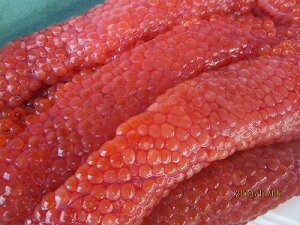 イクラ いくら 生イクラ 【生筋子 秋鮭  1,5g】「送料込み」 醤油イクラ 塩イクラ  サケ  筋子  北海道産