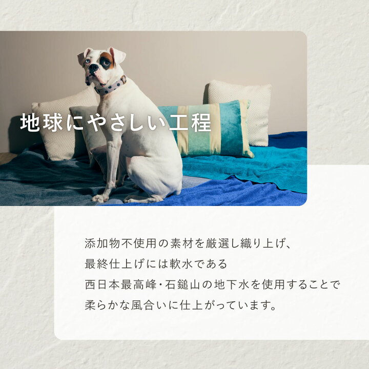楽天市場】今治 タオルケット ギフト 高級 6色から選べる 140×200cm 