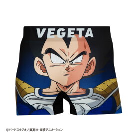 【ドラゴンボールZコラボ】 ドラゴンボールZ パンツ HIPSHOP ヒップショップ ドラゴンボールZ ベジータ アンダーパンツ メンズ ボクサーパンツ かっこいい ギフト シームレスパンツ