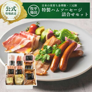 yzcq CHK23-7 {̕Ĉ炿ؓ؁EO cqn\[Z[WlMtg ①  񂹃O v[g  J ґ XЂ Yؓ |[N 