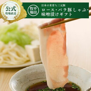 yzcq JH25-2 {̕Ĉ炿O؃[XEo؂ԁEXЂMtg Ⓚ  q{N ͂ 񂹃O v[g  J  Yؓ |[N 