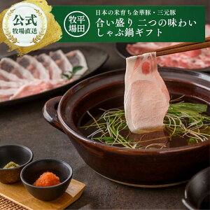 yzcq JHS-64 {̕Ĉ炿ؓ؁EO؍@̖킢ԓMtgi4lO×2Hj Ⓚ  q{N ͂ 񂹃O v[g  J