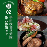 【公式】平田牧場 楽天限定 ＜送料込み＞平田牧場三元豚極み体験セット　冷凍便 送料無料 ヒラボク 三元…