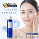 （5/11～★最大1000円OFFクーポン）【公式】 NANOA 化粧水 スキン ケア ヒト幹細胞 エクソソーム EGF セラミド 保湿 乾燥肌 スキンケア 保湿 うるおい 毛穴 汚れ 肌 基礎化粧品 エイジングケア ビタミンC誘導体 敏感肌 肌に優しい しっとり 潤う 30代 40代 50代
