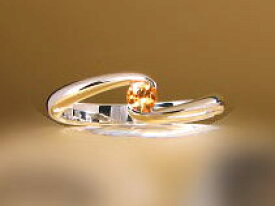 ★送料無料（郵送） ”シンプルなレール留め リング"　スペサタイトガーネット