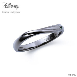 fBYj[ vcF O w Vo[ Y j THE KISS UELbX ̏̃vcF ANZT[ WG[ lC uh a LO v[g Mtg