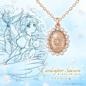 ywōőP10{z J[hLv^[ ObY ANZT[ J[hLv^[ 25NLO ̌`[tiNAJ[hҁj JIlbNX Vo[925isNS[