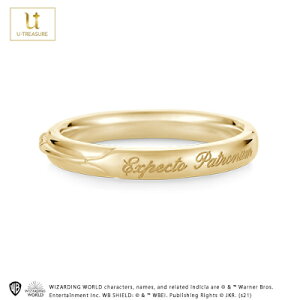 ywōőP10{z n[|b^[ ObY O w ANZT[ WG[ Harry Potter Ring K18CG[S[h yA Y fB[X jZbNX jp a LO Aj