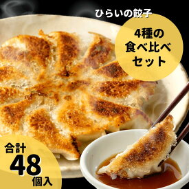 プラザヒライ ひらいの餃子 4種 48個 送料無料 餃子 変わり種 食べ比べ 焼き餃子 アスパラ餃子 肉餃子 しいたけ餃子 野菜餃子 取り寄せ ぎょうざ 冷凍 食品 ギョーザ 冷凍餃子 大量 おいしい 香川 ギフト 食べ比べセット ご当地グルメ 冷凍夕食 お取り寄せ餃子