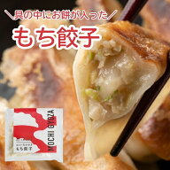 もち餃子 10個入り【冷凍 餃子 お取り寄せ 国産 岩手県 一関 中華 簡単調理 冷凍餃子 肉餃子 焼き餃子 水…
