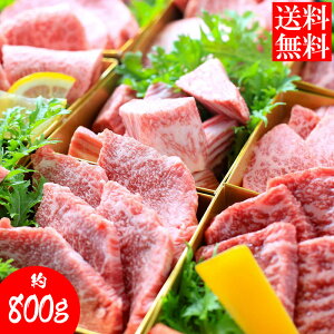 yzqꎩ̍јaI9Hה׃Zbg800giēpj јa a Y ē BBQ o[xL[ p Mtg Hi ⓀHi   Ε Hi @@