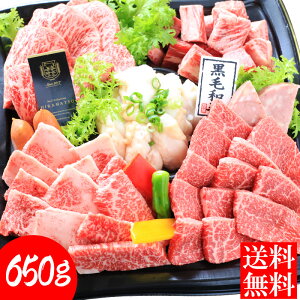 yzq̍јat@~[Zbg650giēpj јa a Y   ē BBQ o[xL[ p Hi ⓀHi  Hi @@q@