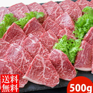 yzq̍јaC`{500giēpj јa a Y   ē BBQ o[xL[ Mtg Hi ⓀHi   Ε Hi @@q@