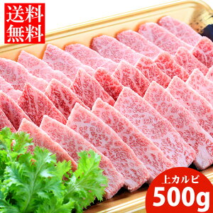 yzq̍јaJr500giēpj јa a Y   ē BBQ o[xL[ Mtg Hi ⓀHi   Ε Hi @@q