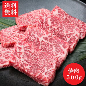 yzq̍јaI[X500giēpj@јa a Y   ē BBQ o[xL[ Mtg Hi ⓀHi   Ε Hi @@q