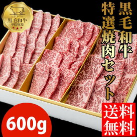 【楽天スーパーセール20%OFF送料無料】平松牧場の黒毛和牛特選焼肉セット600g 黒毛和牛 和牛 国産 お肉 お取り寄せ 焼肉 BBQ バーベキュー ギフト 食品 冷凍食品 牛肉 お中元 お歳暮 食品 肉　鹿児島県　平松牧場　平松畜産