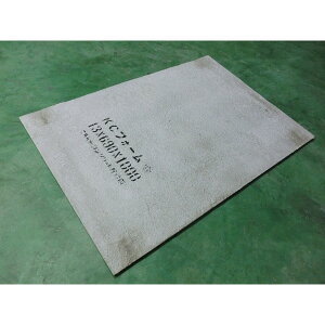 KCtH[@a500p@TCY590×10×1000@݌^g@łaW@KX@GRC@aË