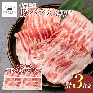 ؃oXCX Iׂ e 1kg 2kg 3kg 4kg ؃o  Ίg|[N ؂ Y ؓ K XCX ؃o   Y Ⓚ    