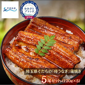 【平沼水産 国産 侍うなぎ 蒲焼き 120g×5尾】 うなぎ 冷凍 かみさとブランド認定 埼玉県産 陸上養殖 お取り寄せ 土用丑の日 御中元 誕生日 ギフト 贈答 お祝い 敬老の日 ギフトボックス 熨斗対応【TBS「ひるおび」で紹介！】