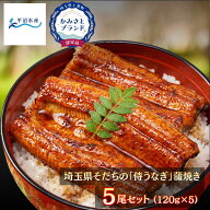 【スーパーSALE半額】 【父の日ギフト・誕生日にも】 国産 うなぎ 鰻 蒲焼き 120g×5尾 冷凍【かみさとブ…