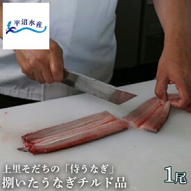 【平沼水産 侍うなぎ 捌いたうなぎチルド品（1尾）】 うなぎ 鰻 ウナギ 冷蔵 国産 埼玉県産 ギフト 贈答 お祝い お取り寄せ 土用丑の日 丑の日 敬老の日 お中元 お歳暮 侍 SAMURAI UNAGI【TBS「ひるおび」で紹介！】
