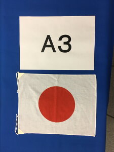 ̊ A3TCY 100  35×43cm Z̃CXɃsb^ ۑɂg܂ TbJ[ Or[ tBMAXP[g Ёi˂j  o 䂤[