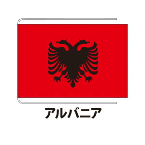 AojA  12×18cm |GXeHdn ۉcTCY Dݎd  tbO Y Փx:D 3cƓȓɏo NlRDM֑ albania