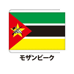 Ur[N  12×18cm |GXeHdn ۉcTCY Dݎd  tbO Y Փx:E 3cƓȓɏo NlRDM֑ mozambique