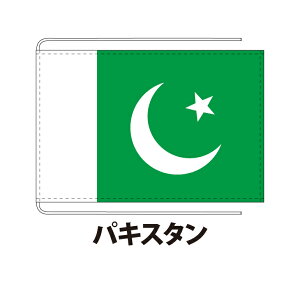 pLX^  12×18cm Hdn ۉcTCY Dݎd  tbO Y Փx:A 1cƓȓɏo NlRDM֑  pakistan