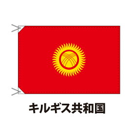 キルギス（共和国） 国旗 90×120cm 上質なエクスラン地 ポピュラーサイズ レザー・ハトメ・ヒモ付仕立 旗 フラッグ 国産 難易度:I 3営業日以内に出荷 送料無料 kyrgyzstan