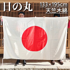 ���̊� ��100�� �V���ؖ� �� ���� 133×195cm �|�[���f�g�ɂ� �����ɂ� ���O�ɂ� �O�p���U�[�t �����o�� ��������