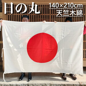 ̊ 100 Vؖ   140×210cm |[fgɂ ɂ Oɂ OpU[t o 