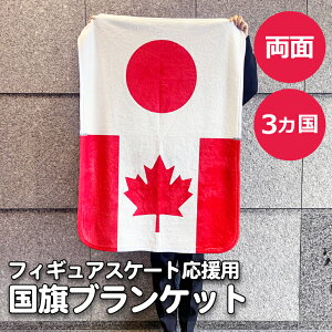 tBMAXP[gp uPbg Ђ 70×100cm  X|[c ۑ  g 􂦂 ObY ΍ }CNt@Co[ { ̊ Ђ| G| 