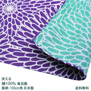 C~ 100cmp  V^ ɍl e  LN EXTL/ZCW Ή ѕt   F a  킢 GRobO  o[Vu 唻 O ӂ낵 n 