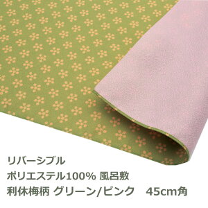 C~ 45cmp | GF x~ O[^sN Ή   o[Vu  nJ` ٓ e[uNX   a ӂ낵 Ƃ n ނ { 