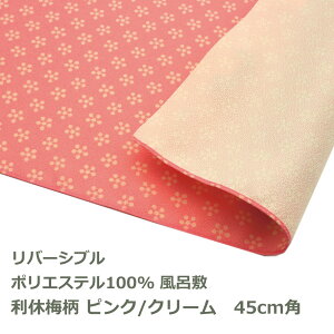 C~ 45cmp | GF x~ sN^N[ Ή   o[Vu  nJ` ٓ e[uNX   a ӂ낵 Ƃ n ނ { 