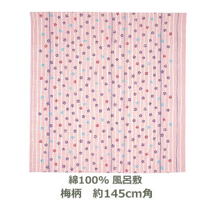 C~ 145cmp 100 ~ ꒅ sN Ή ѕt F a  唻 ӂ낵 n ނ Ƃ ͂ꂬ n { [֑ ok