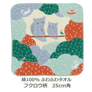 C~ 25cmp 100 kata kata ӂӂ^I tNE O[ ѕt nJ` ^I  ӂ낵 ͂񂩂    n ނ { [֑